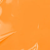 Vegan + 21 Free Nail Polish