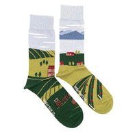 Winery Mismatched Socks M