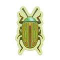 Rainbow Beetle Sticker