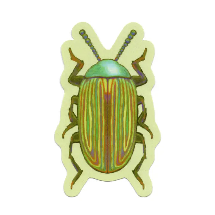 Rainbow Beetle Sticker