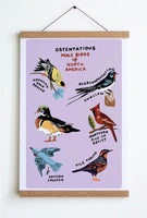 Male Birds Print - Purple