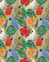 Exotic Birds Printed Shorts