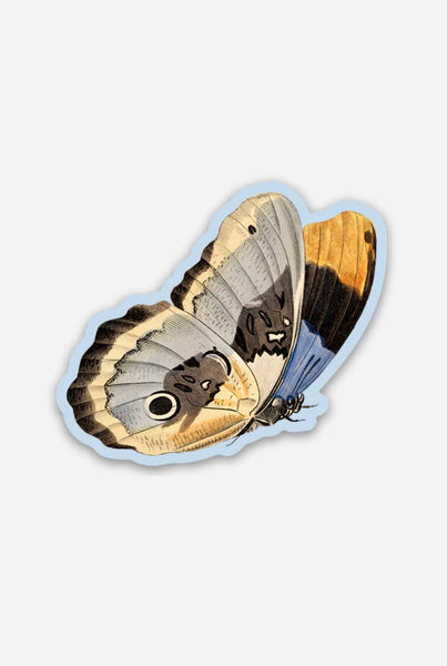 Unconcerned Butterfly Gap Filler Sticker