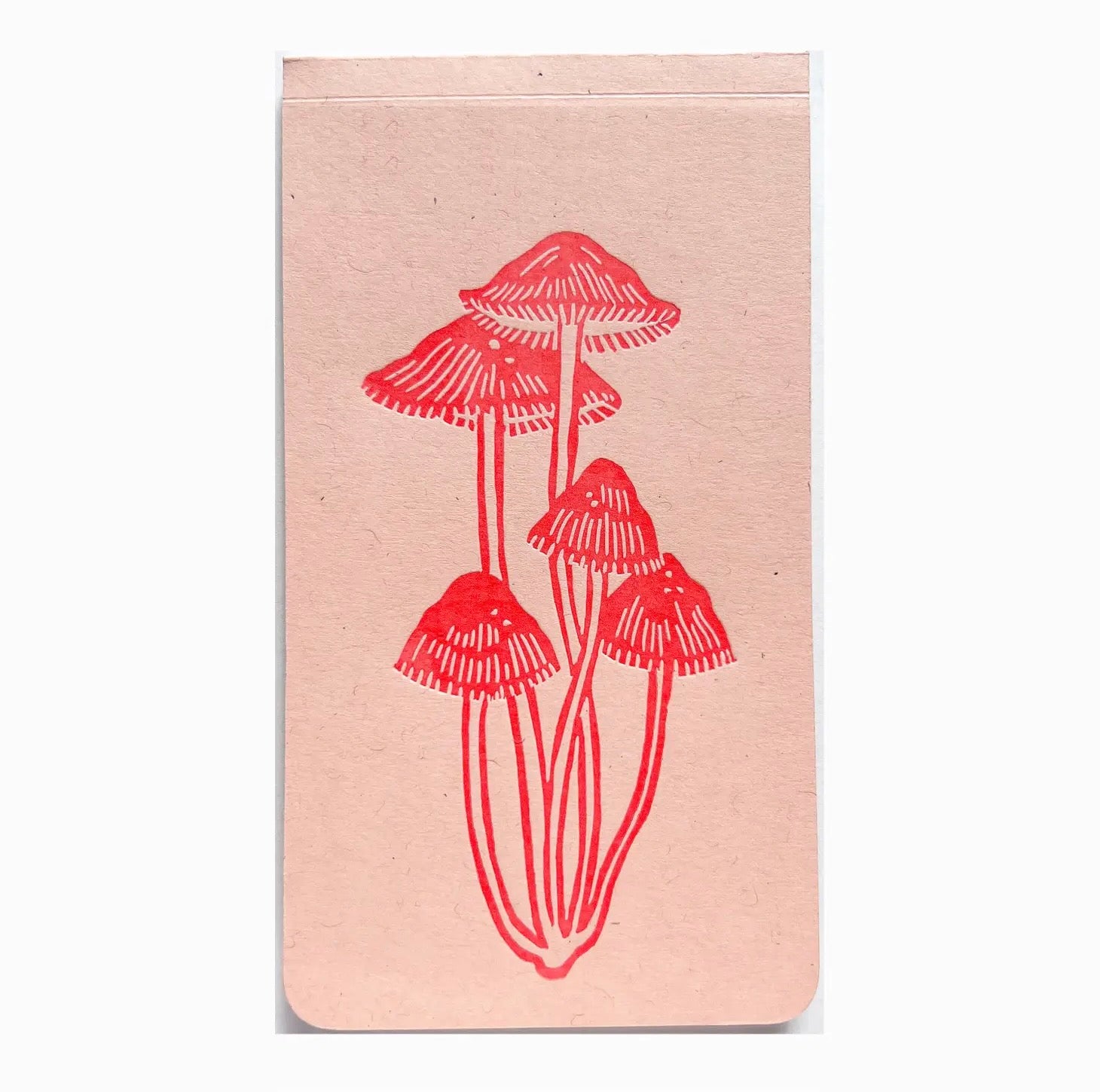Jotter Notepad