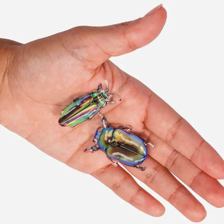 Allie Beetle Clips - Disco Diggers