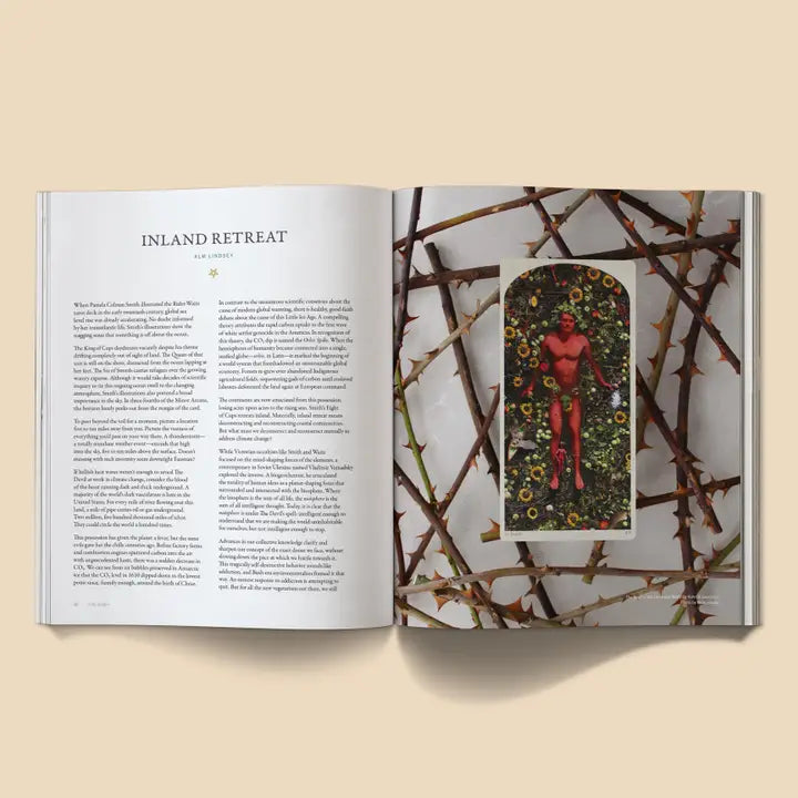 The Rebis Magazine: The Devil Issue
