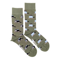 Fluffy Cat Mismatched Socks M