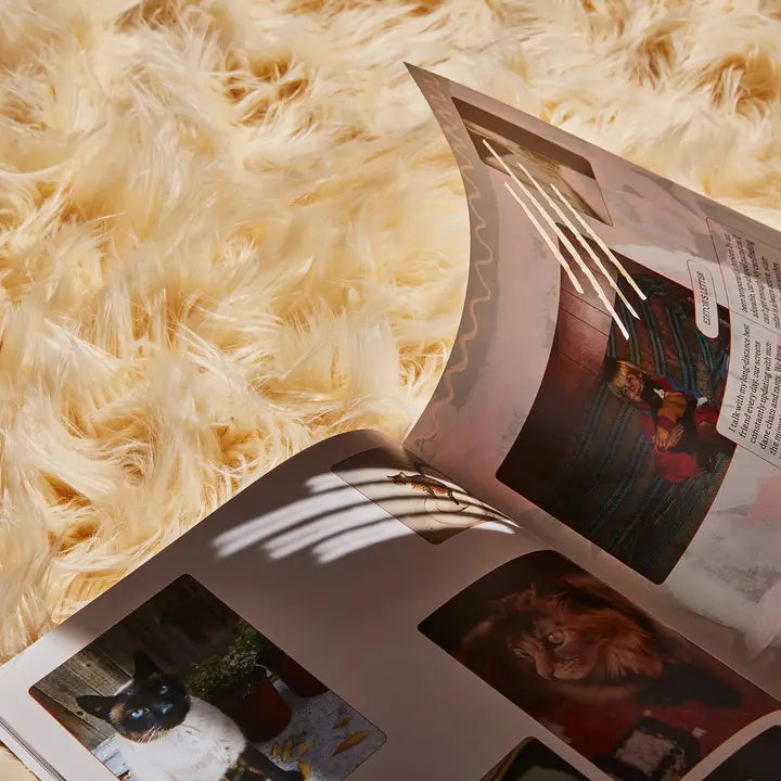 Catnip Magazine: Volume 1