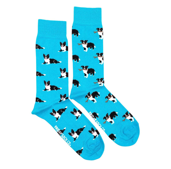 Border Collie Mismatched Socks M