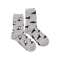 Bernese Mountain Dog Mismatched Socks