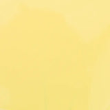 Vegan + 21 Free Nail Polish