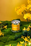 Golden Hour Coconut Soy Candle