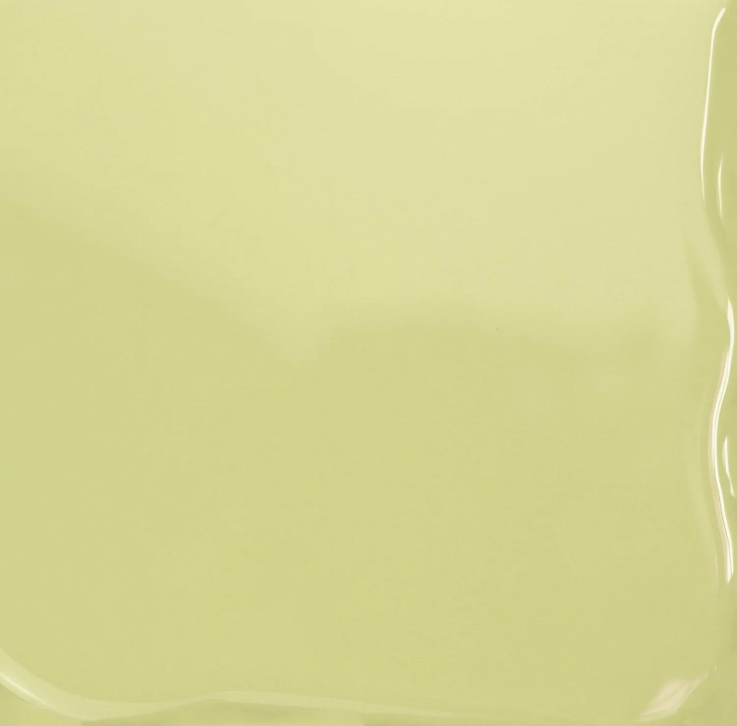 Vegan + 21 Free Nail Polish