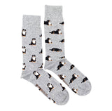 Bernese Mountain Dog Mismatched Socks M