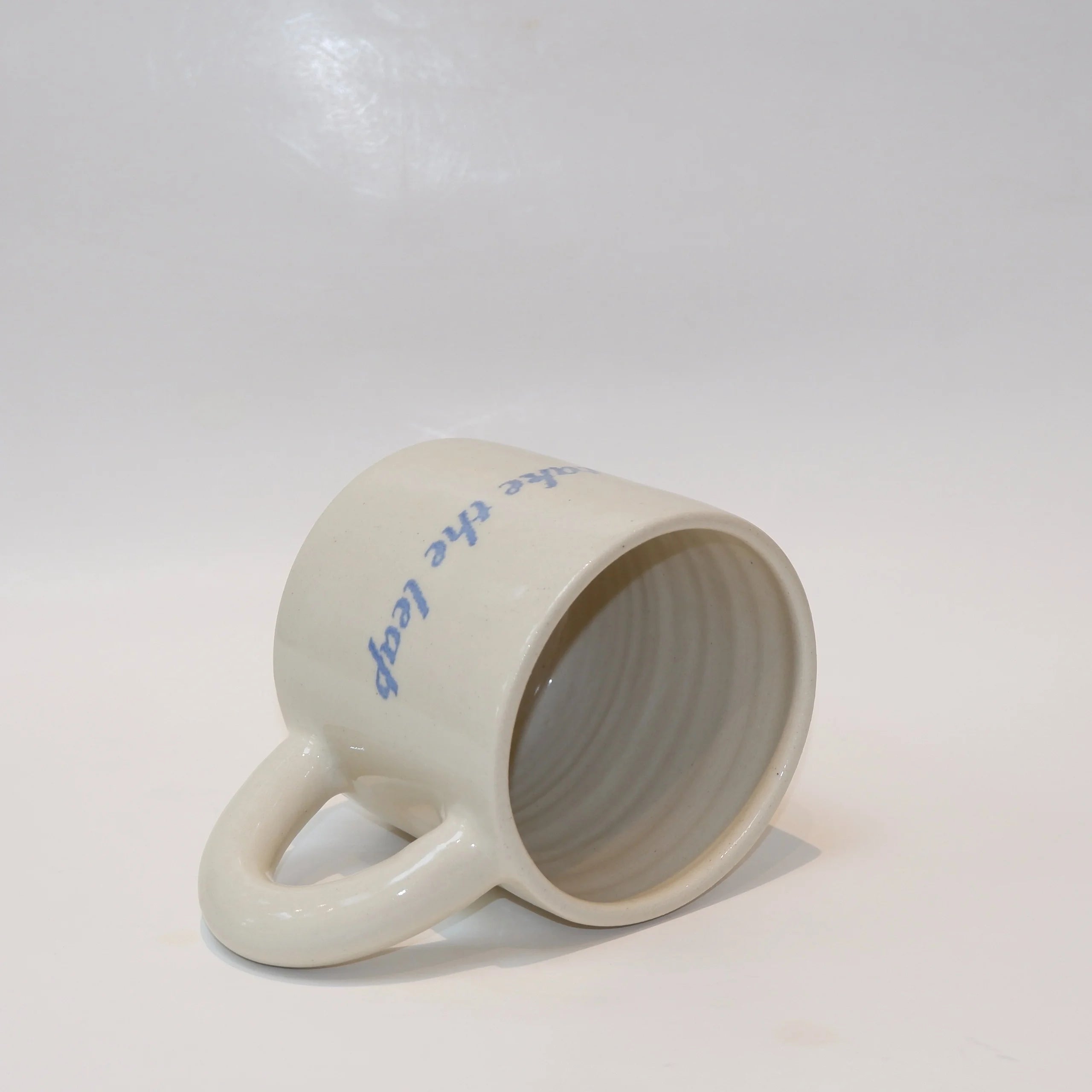 Take The Leap Mug