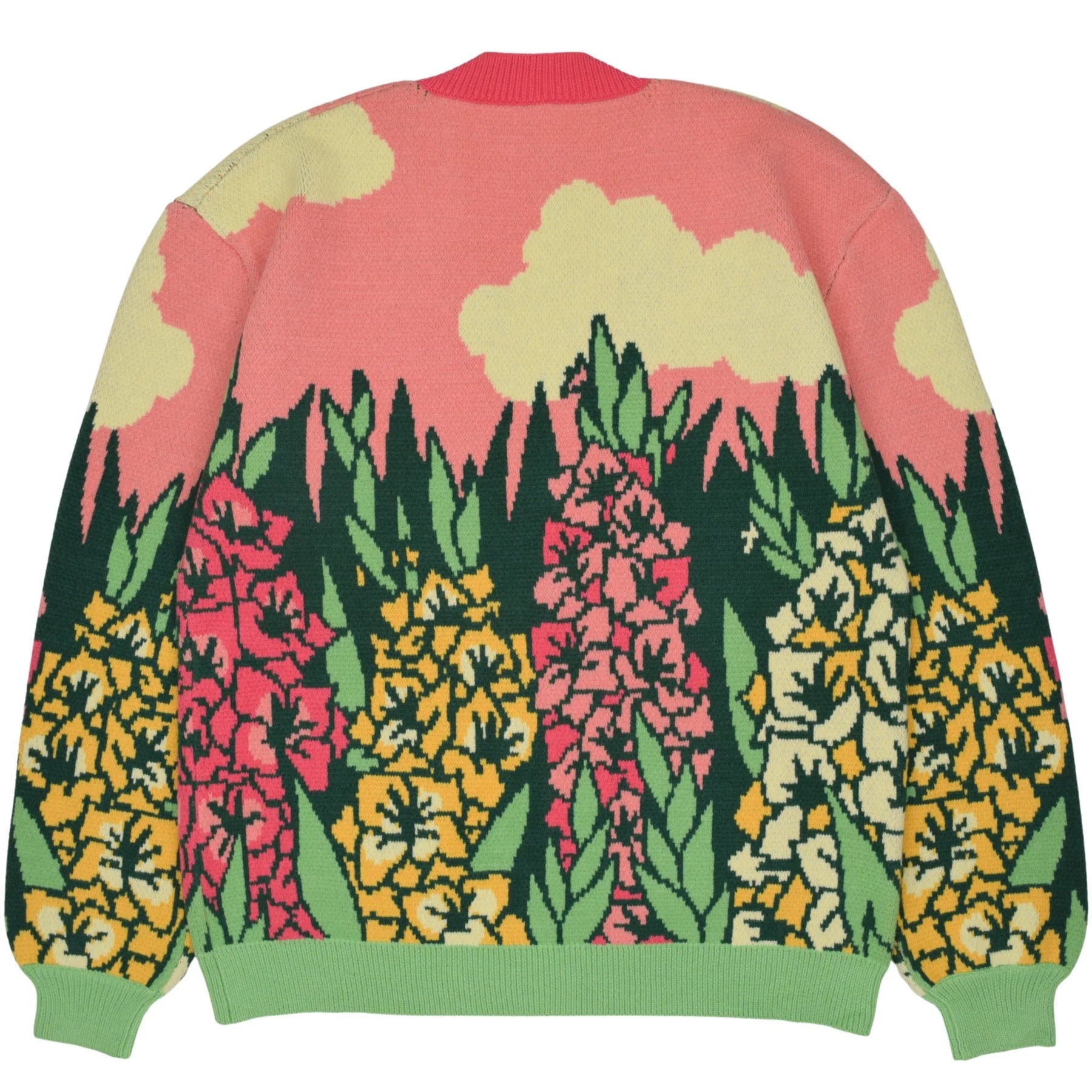 Gladiolus Cardigan