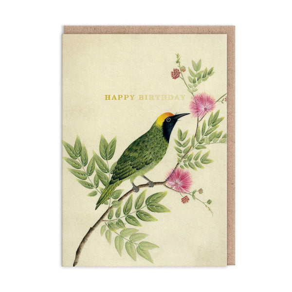Songbird Birthday Greeting Card