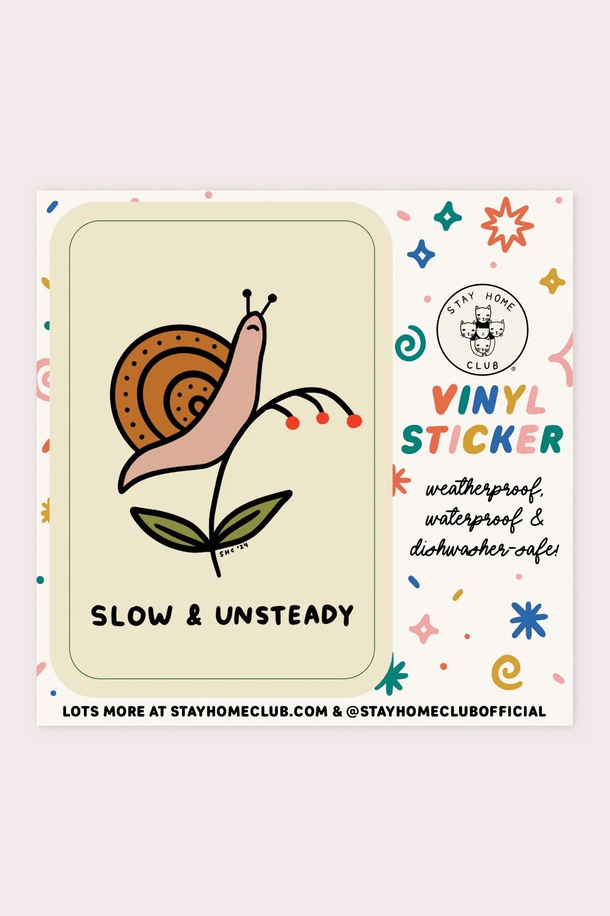 Slow & Unsteady Vinyl Sticker
