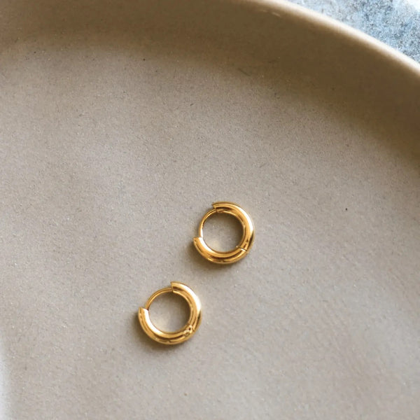 The Micro Hoop Earrings