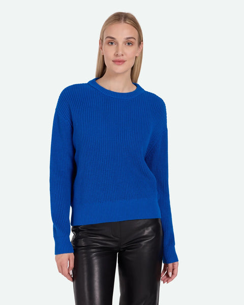 Blue jumper 2025
