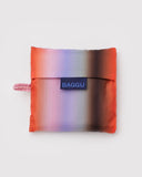 Standard Baggu - Gradient Stripe Poppy/Lilac