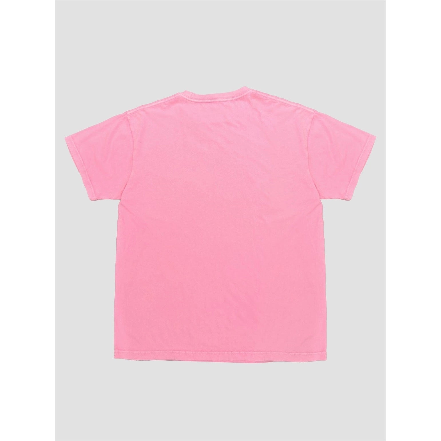 Mineral Wash Tee AAB095
