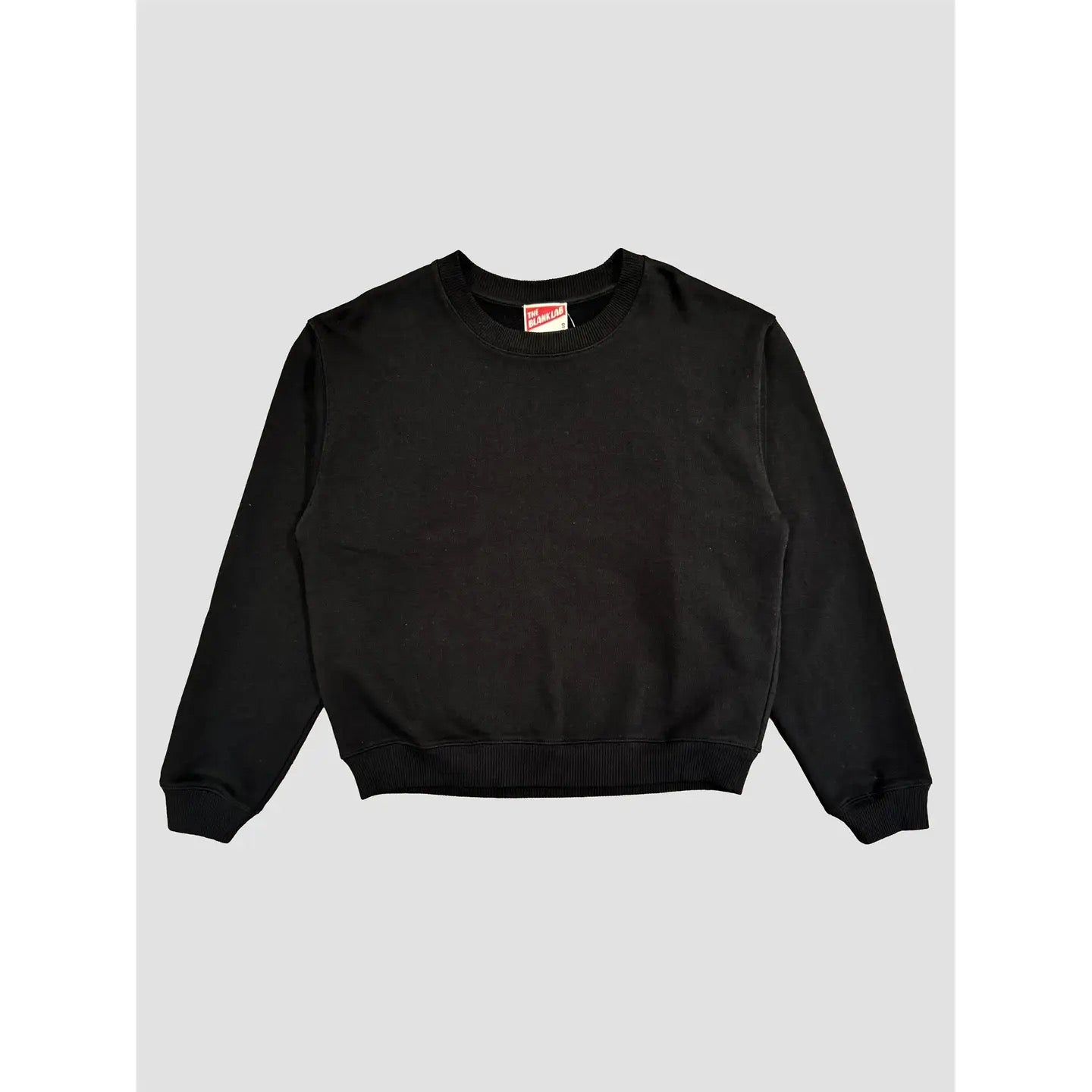 Standard Fit Sweatshirt AAB105