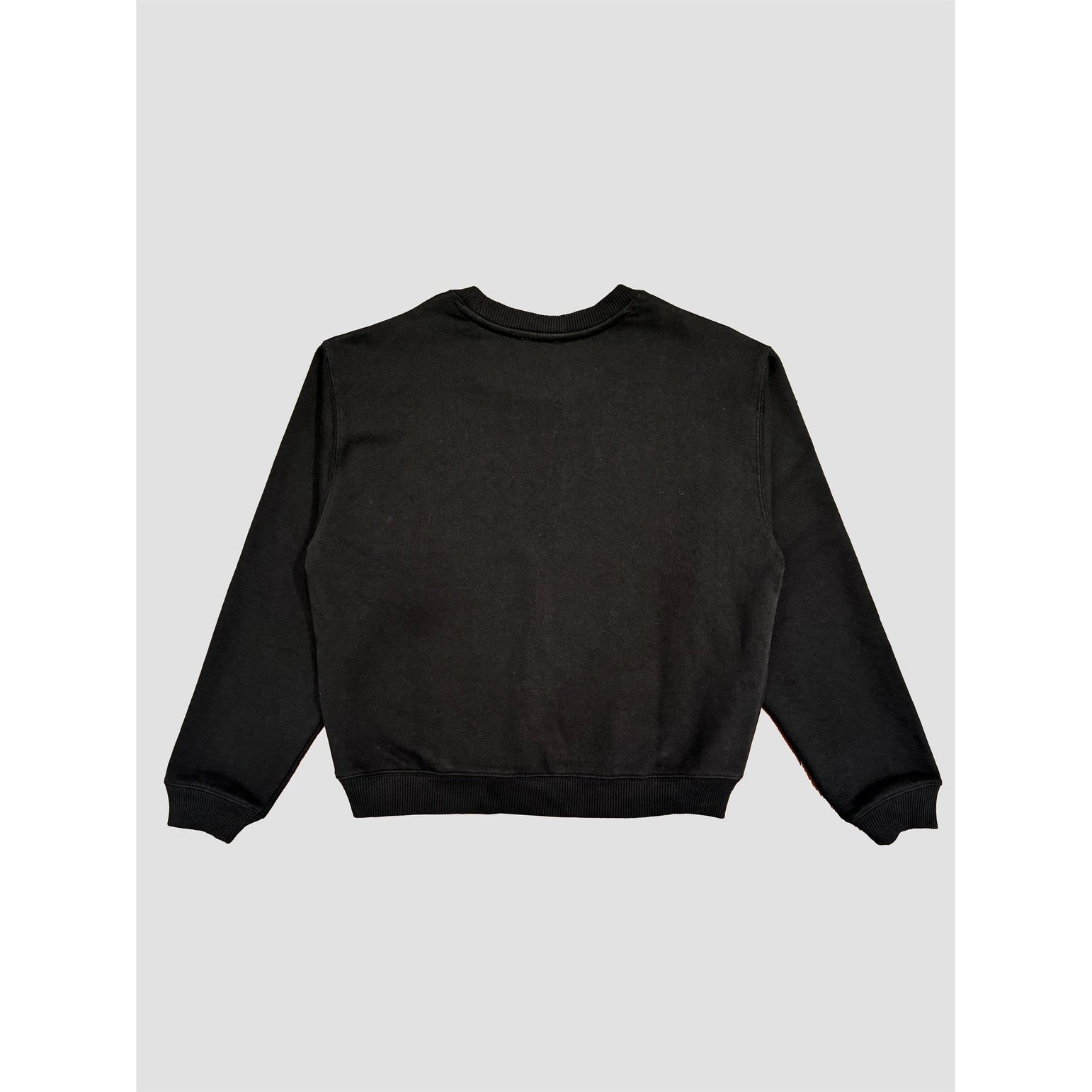 Standard Fit Sweatshirt AAB105