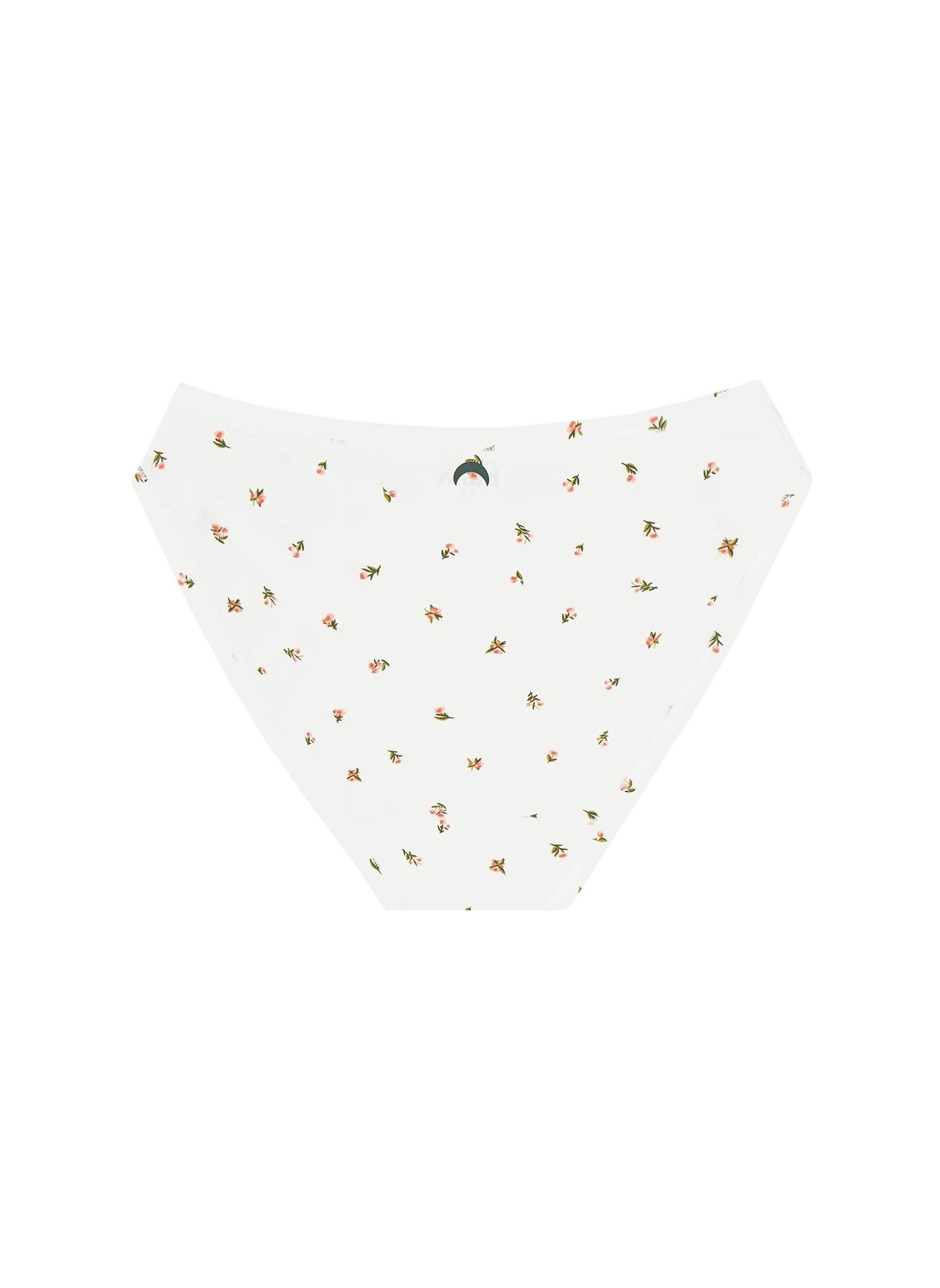 Mineral Bikini - Rose Print