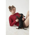 The Dog Walker Co Jacquard Sweater - Dachshund