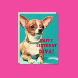 Birthday Diva Greeting Card