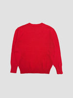 Soft Cotton Solid Sweater AAB299