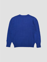 Soft Cotton Solid Sweater AAB299