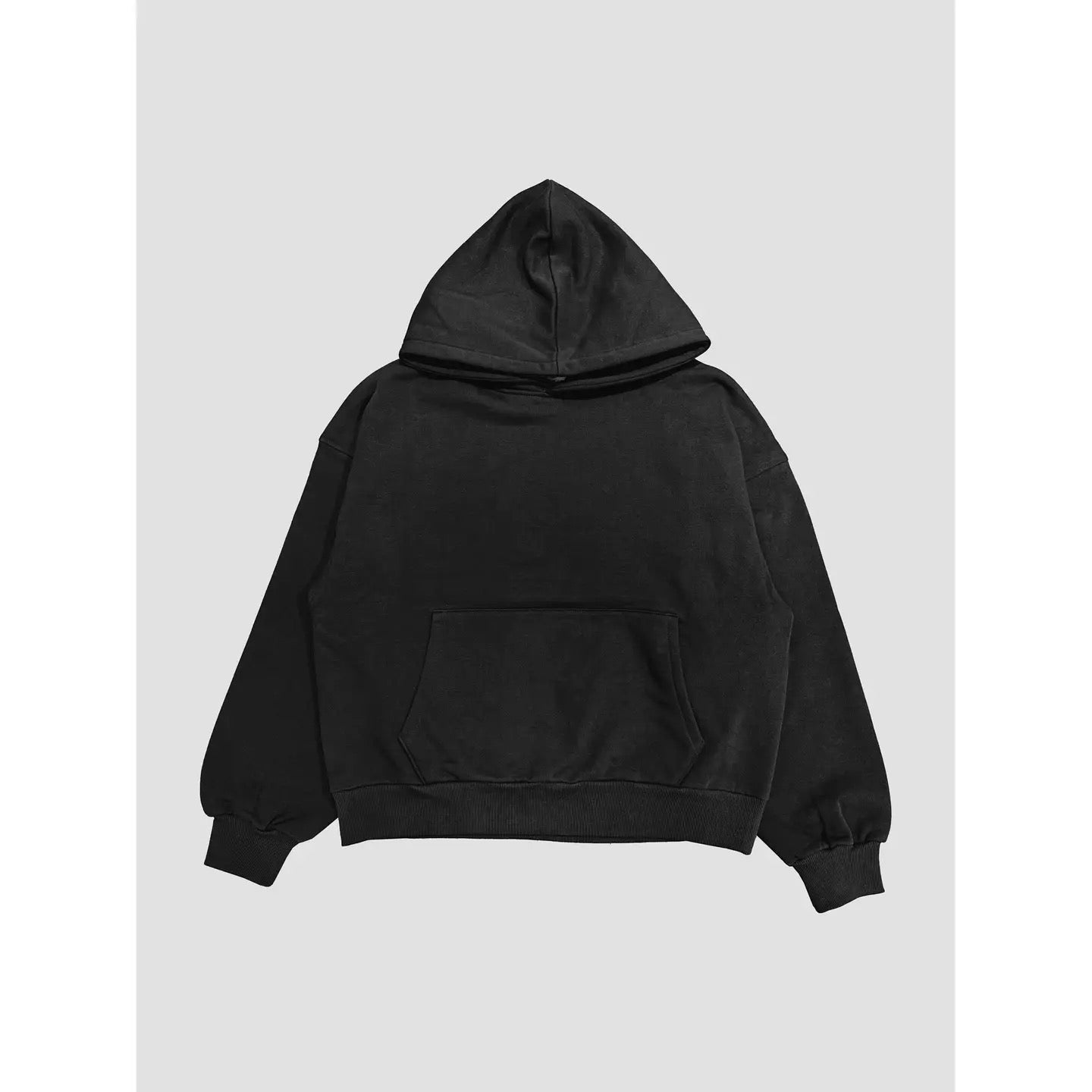 Organic Cotton Terry Regular Hoodie AAD609