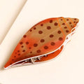 Brown Shell Hair Clip