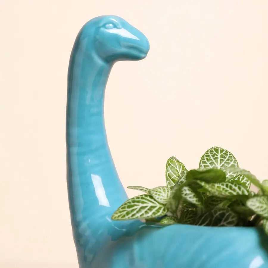 Diplodocus Planter