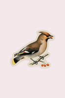 Wary Waxwing Gap Filler Sticker