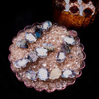 Oyster Hair Clip