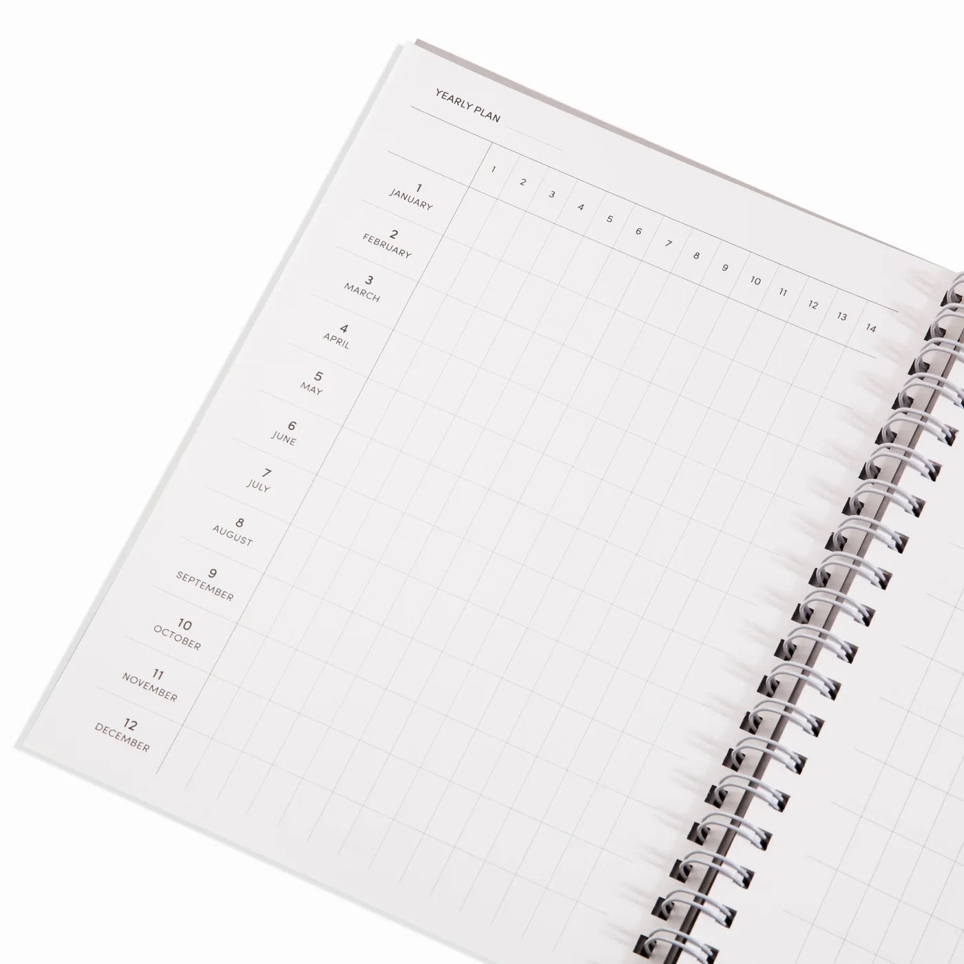 Daily Weekly Monthly Planner - Large