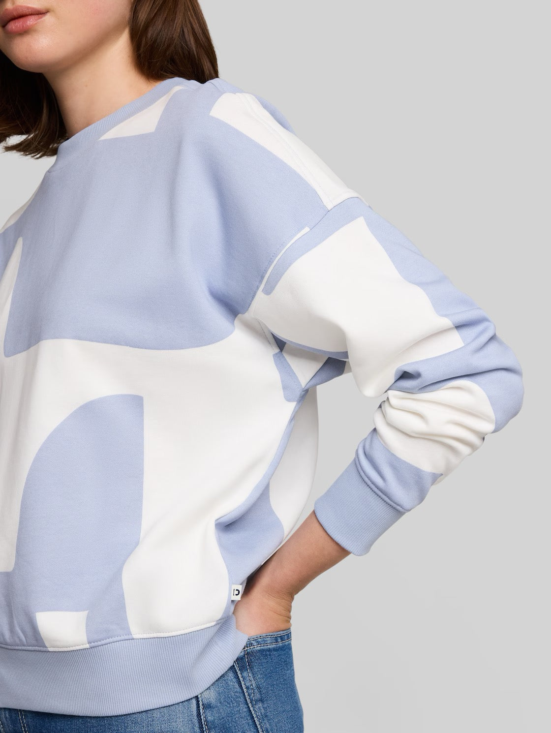 Printed Sweatshirt - Foggy Blue