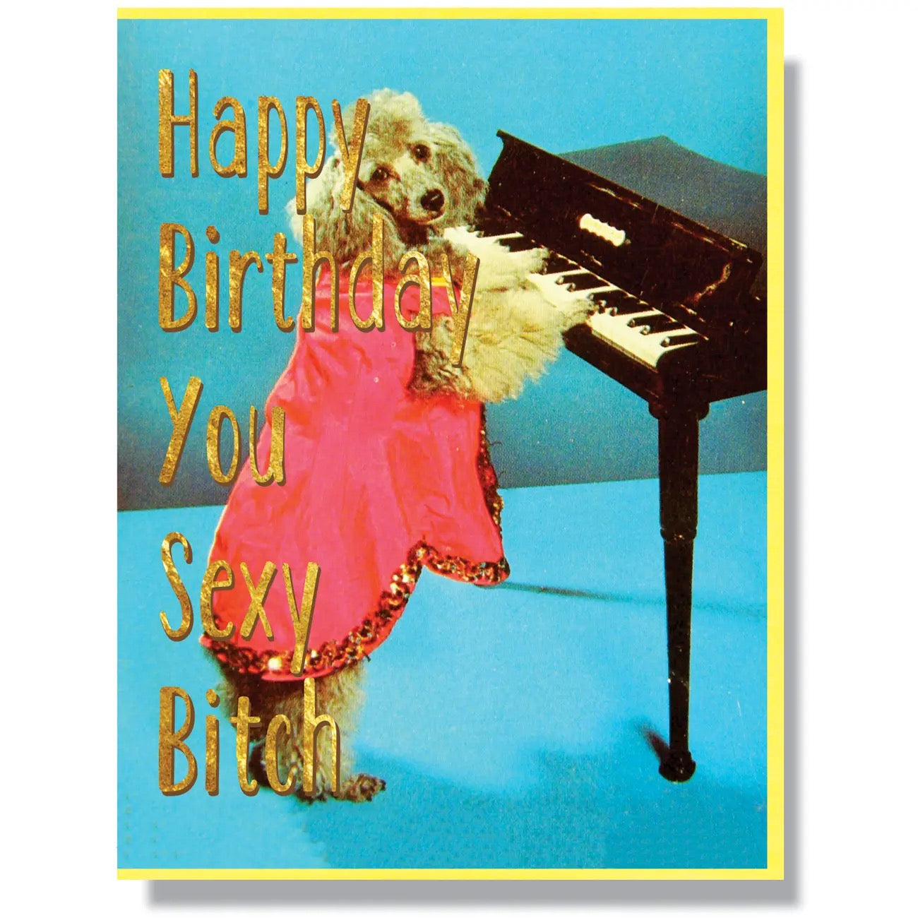 Happy Birthday You Sexy Bitch Greeting Card