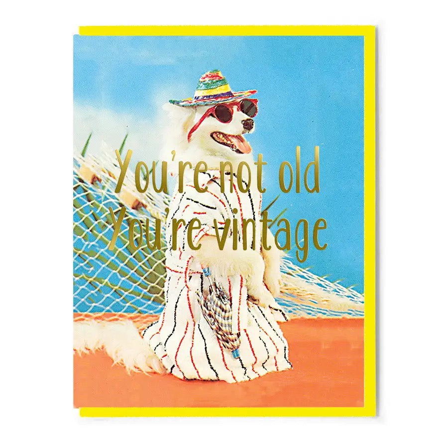 You're Not Old You're Vintage Greeting Card