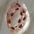 Cherry Bead Necklace
