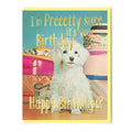 I'm Pretty Sure It's You Birthday Greeting Card