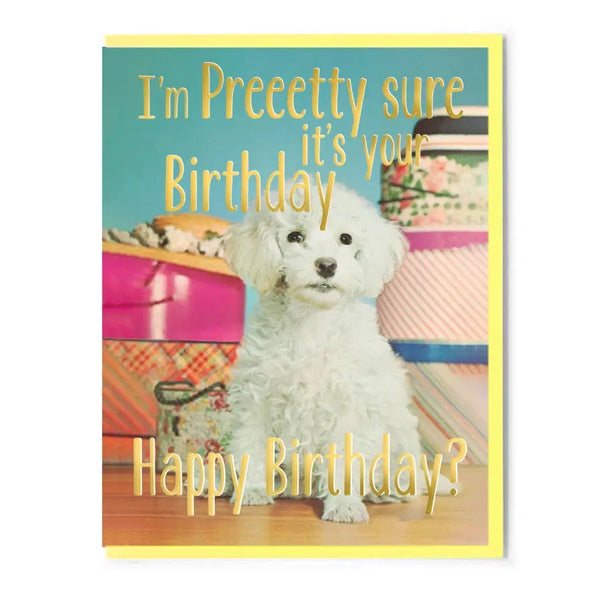 I'm Pretty Sure It's You Birthday Greeting Card