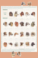Dogs Heads/ Part 1 Mega Sticker Sheet