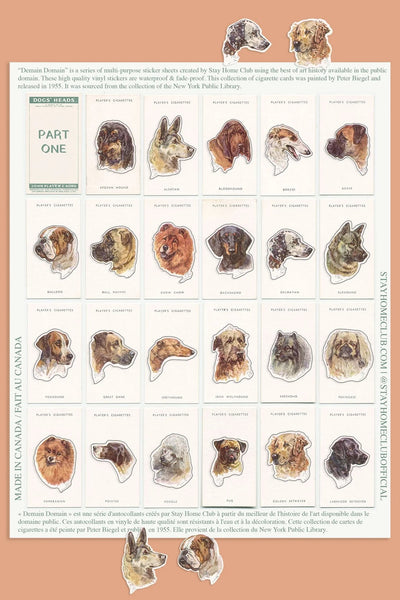Dogs Heads/ Part 1 Mega Sticker Sheet