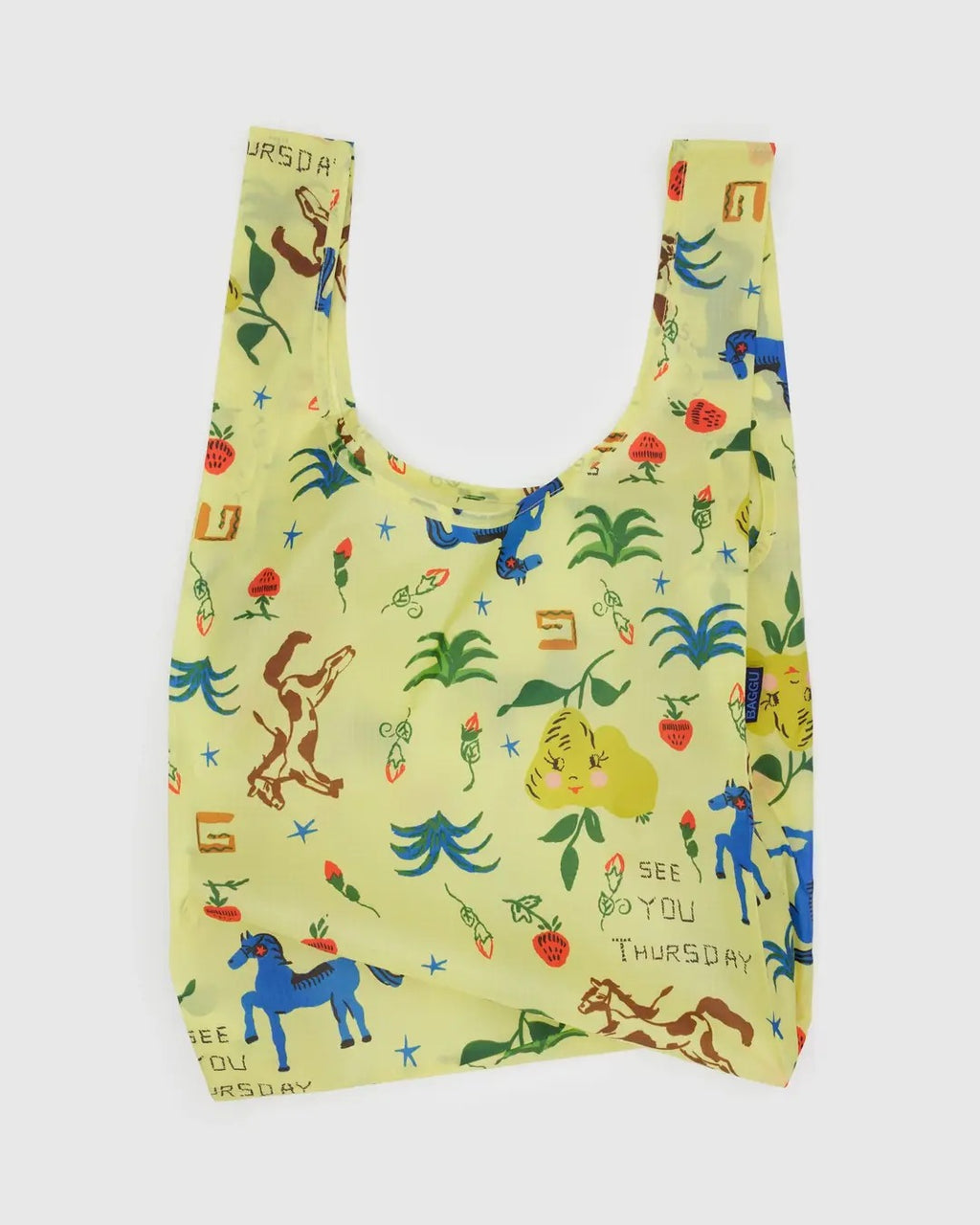 Standard Baggu - Painted Prairie