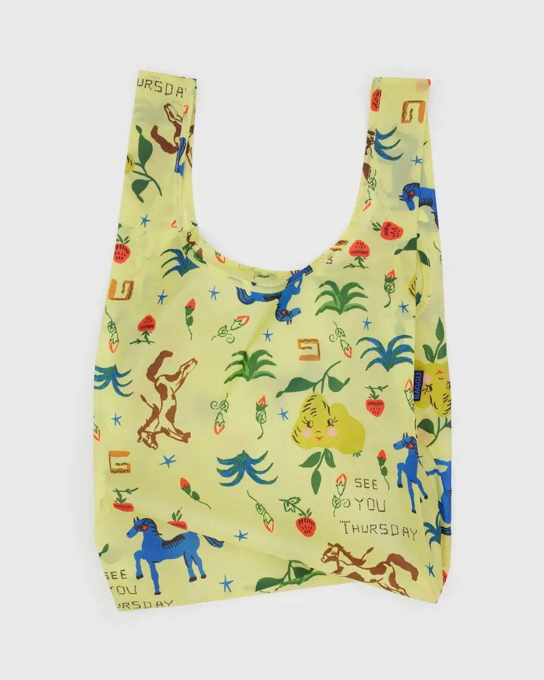 Standard Baggu - Painted Prairie