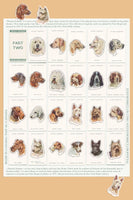 Dogs Heads/ Part 2 Mega Sticker Sheet